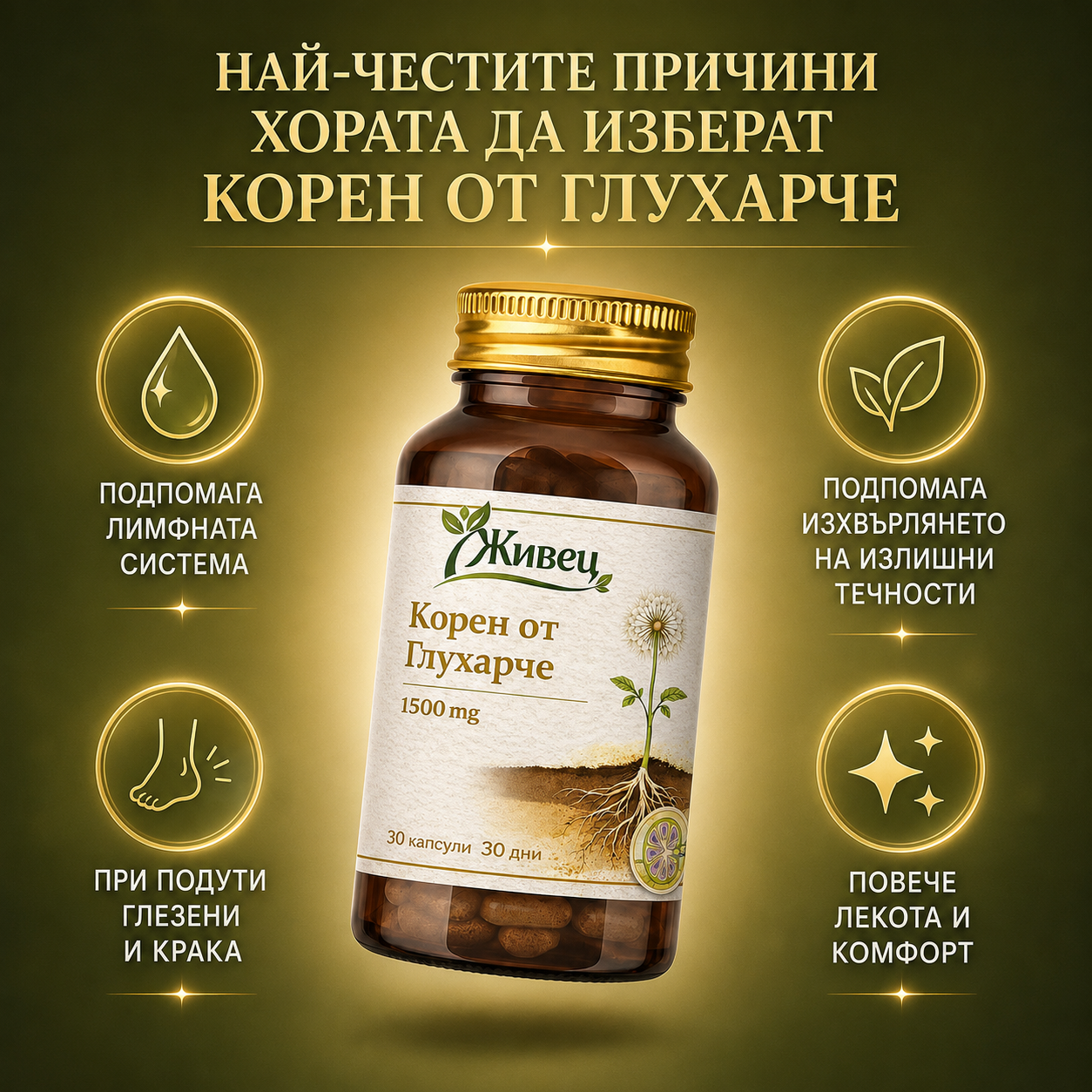 Корен от Глухарче