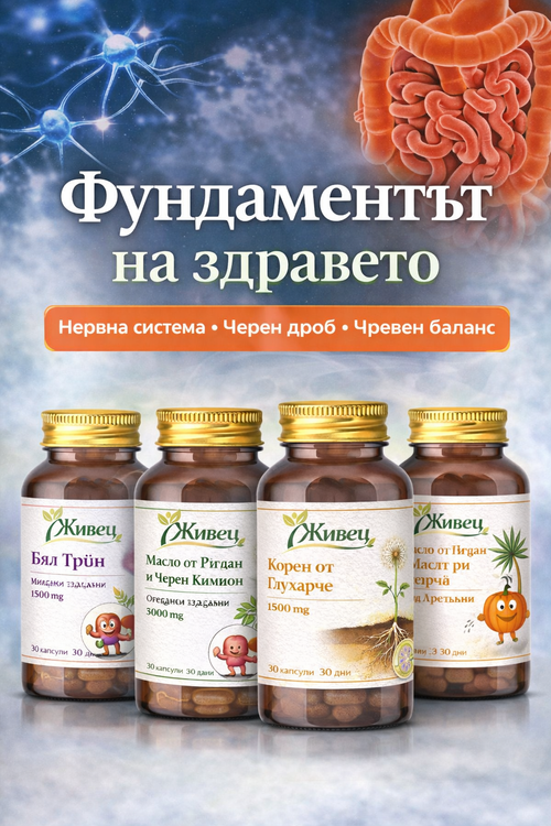 Електронна книга - Фундамент на Здравето