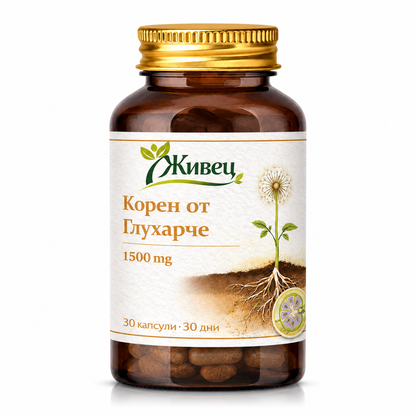 Корен от Глухарче